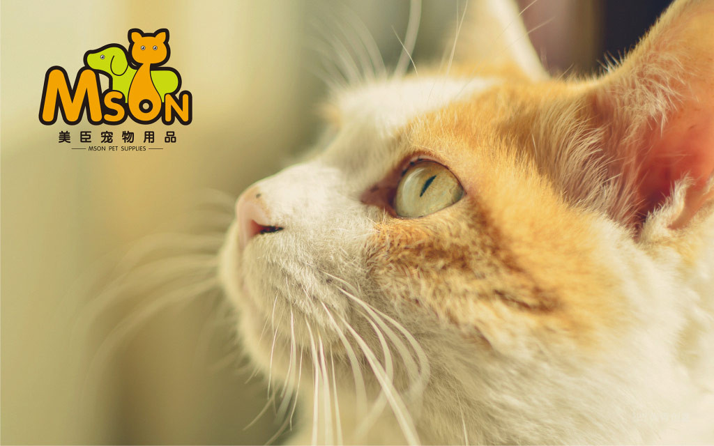 宠物猫品牌策划品牌命名logo设计深圳品牌设计公司推荐0755-86228690 宠物猫logo设计,品牌命名,宠物品牌策划